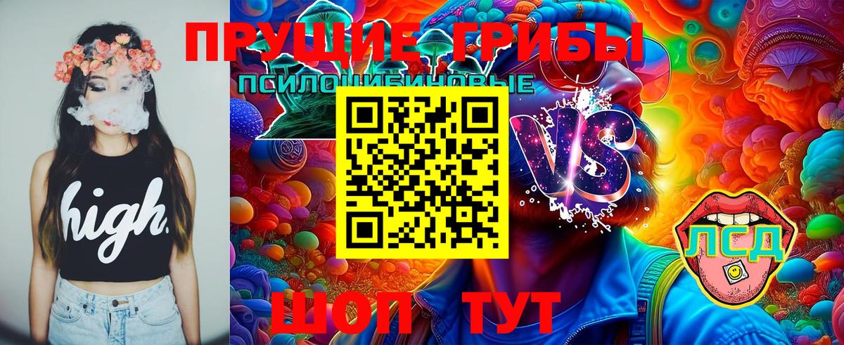 Псилоцибиновые грибы Cubensis  Вход с VPN  Похвистнево 